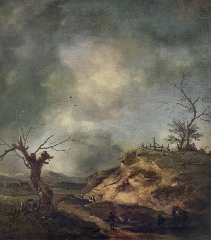 View in the Environs of Haarlem, WOUWERMAN, Philips